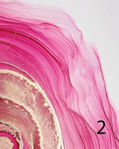 crimson texture 2 row 1 column 3