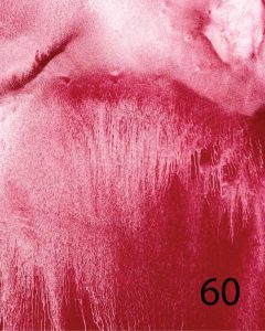 crimson texture 60