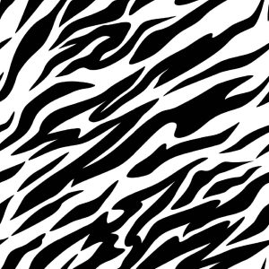 zebra (1)